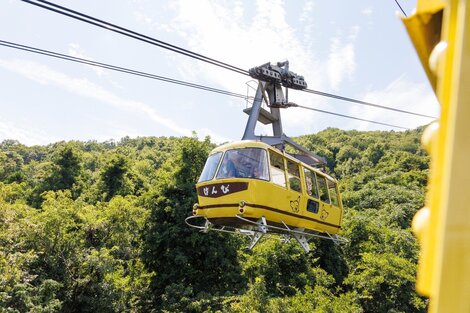 宝登山ロープウェイ