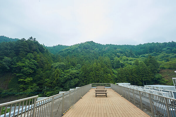 7Z6A0990.jpg